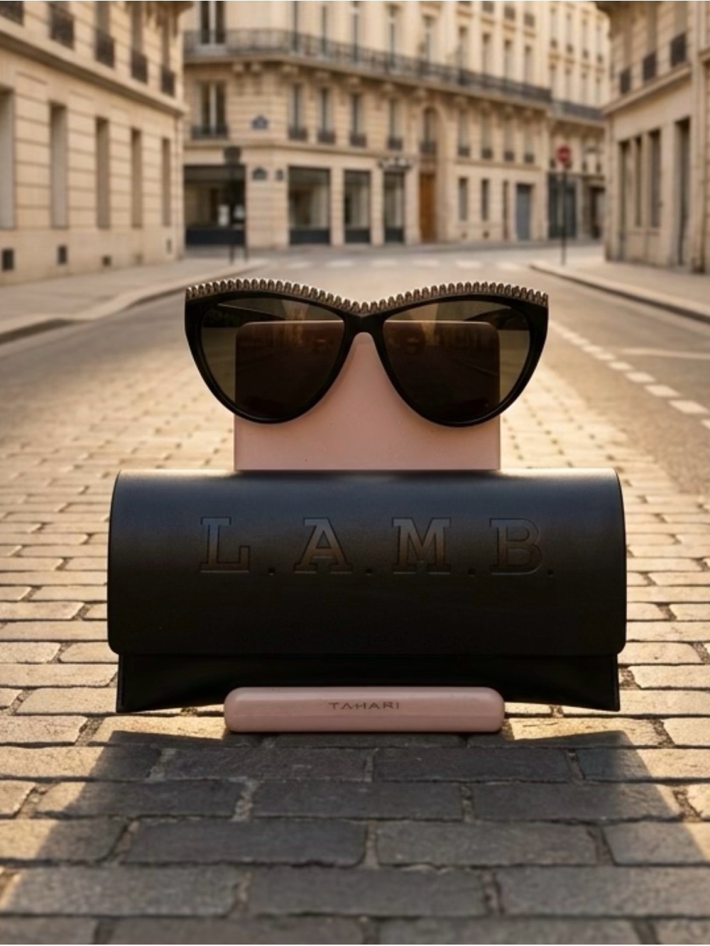 L.A.M.B. Black Cat-Eye Sunglasses with Brown Lenses